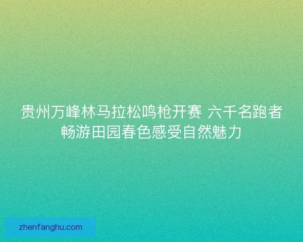 贵州万峰林马拉松鸣枪开赛 六千名跑者畅游田园春色感受自然魅力